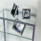 Cobra Picture Frame - 5x7"