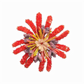 Red Alata Flower Beaded Brooch