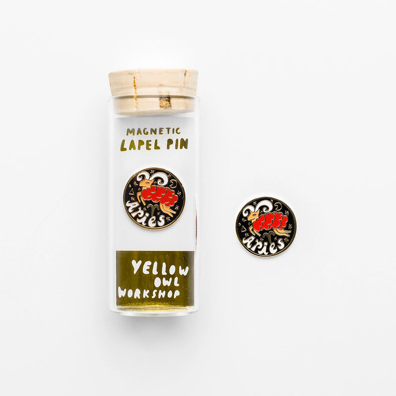 Astrology Magnetic Pin