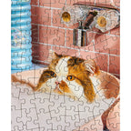 ME-ow Time Puzzle