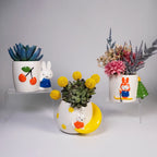 Miffy Moon Star Cup
