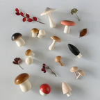 Forest Mushrooms Wooden Toy Set