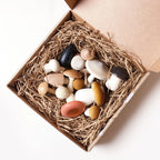 Forest Mushrooms Wooden Toy Set
