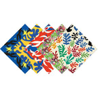 Henri Matisse Origami Kit