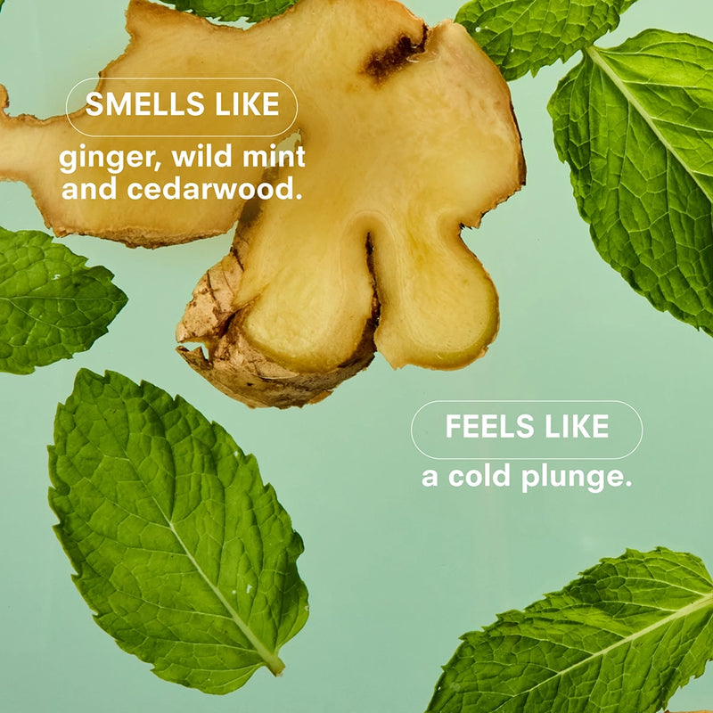 Essentials Votive Candle Gift Set