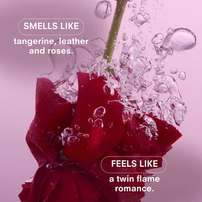 Essentials Votive Candle Gift Set