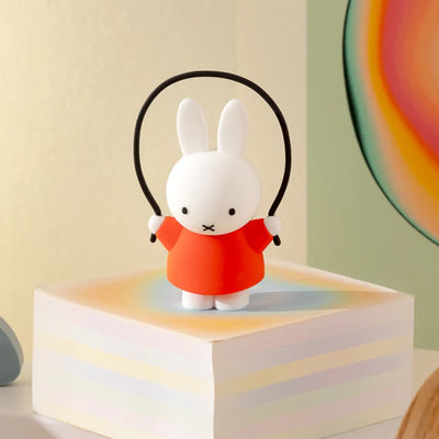 Miffy Doing Things Blind Box