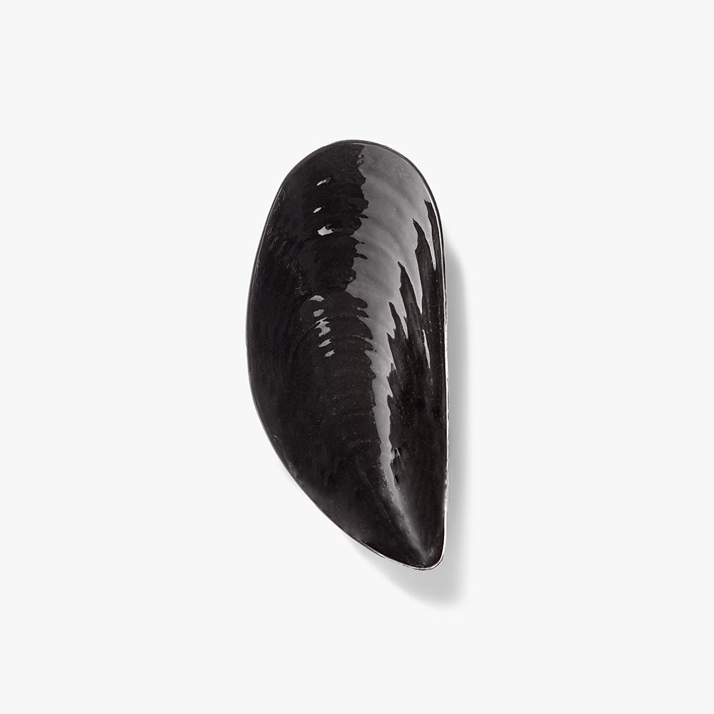 Marcel Shell Bowl - Medium