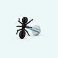 Ant Stud Earrings