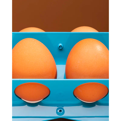 Egg Holder - Gbehanzin
