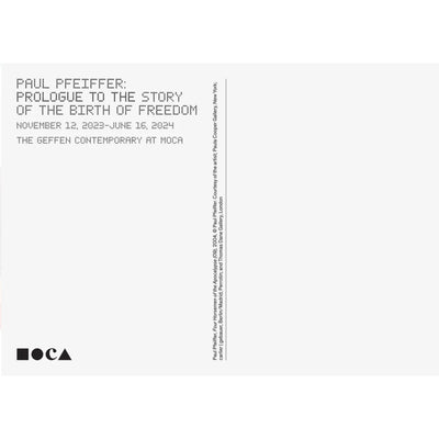 Paul Pfeiffer: Four Horsemen of the Apocalypse (09) Postcard