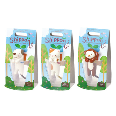 Shippon Self-Watering Plant Kit
