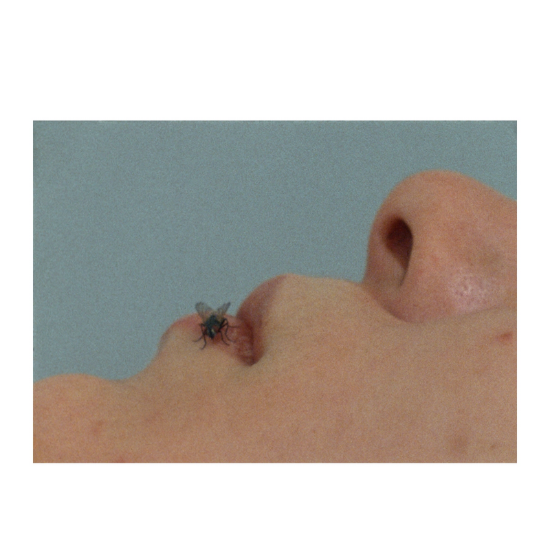 Yoko Ono FLY Postcard