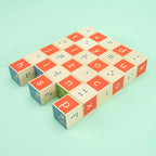 Braille Wooden Block Toy