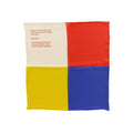 Marina Abramovic Looking at Colour Scarf