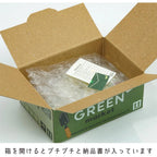 Green Plants Hako Sticker Pack