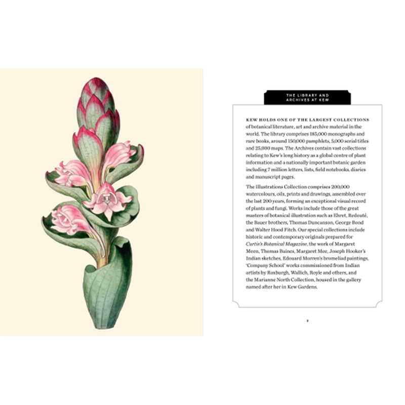 Kew Pocketbooks: Orchids