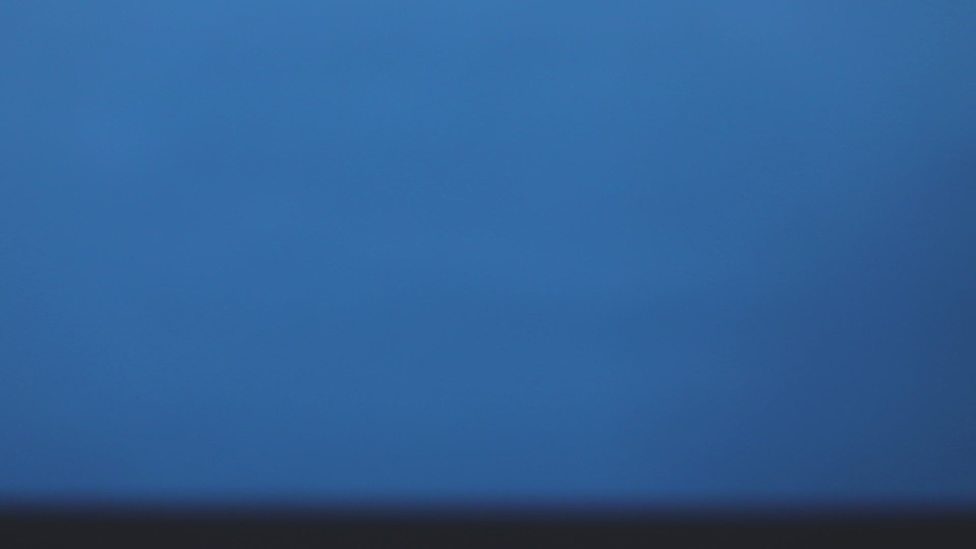 Basquiat Bird on Money Basketball