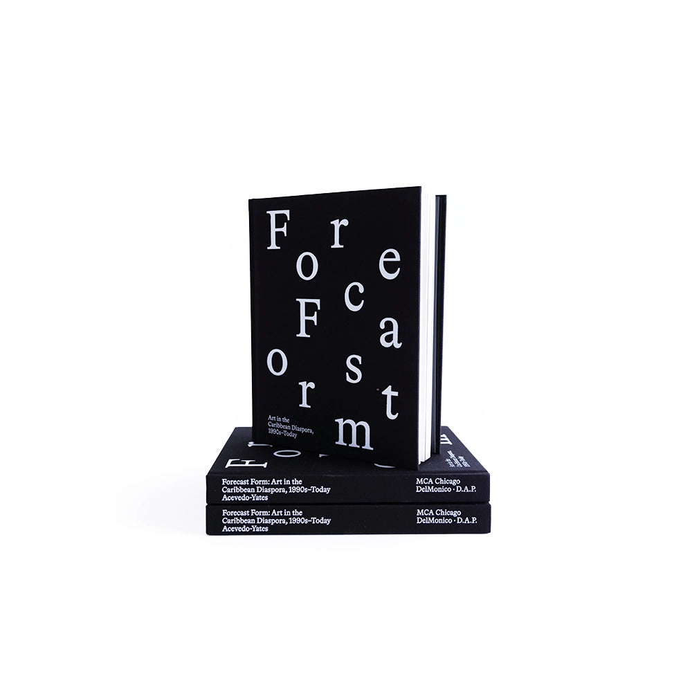 Forecast Form: Art in the Caribbean Diaspora, 1990s–Today  