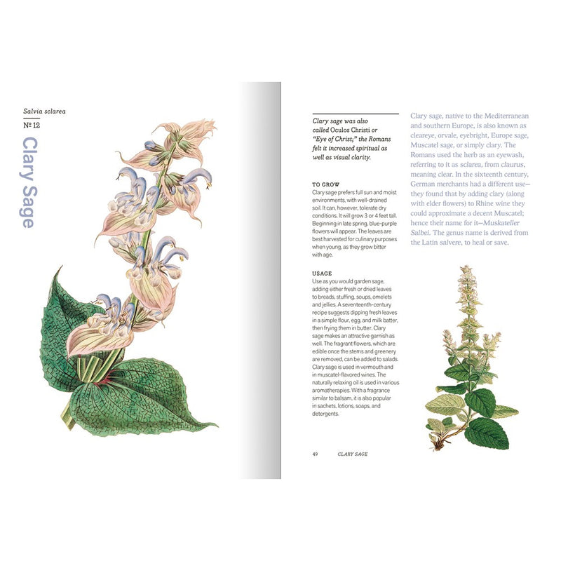 Herbal Handbook: 50 Profiles in Words and Art  