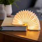 Bamboo Accordion Lamp  