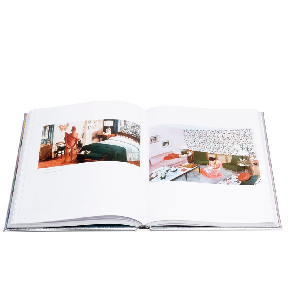 Laurie Simmons: Big Camera/Little Camera  