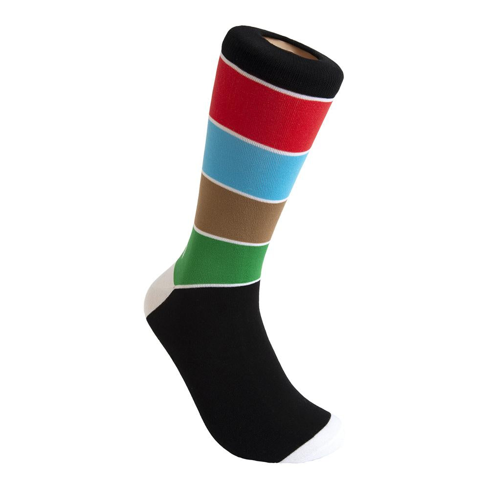 CTA Train Line Socks  