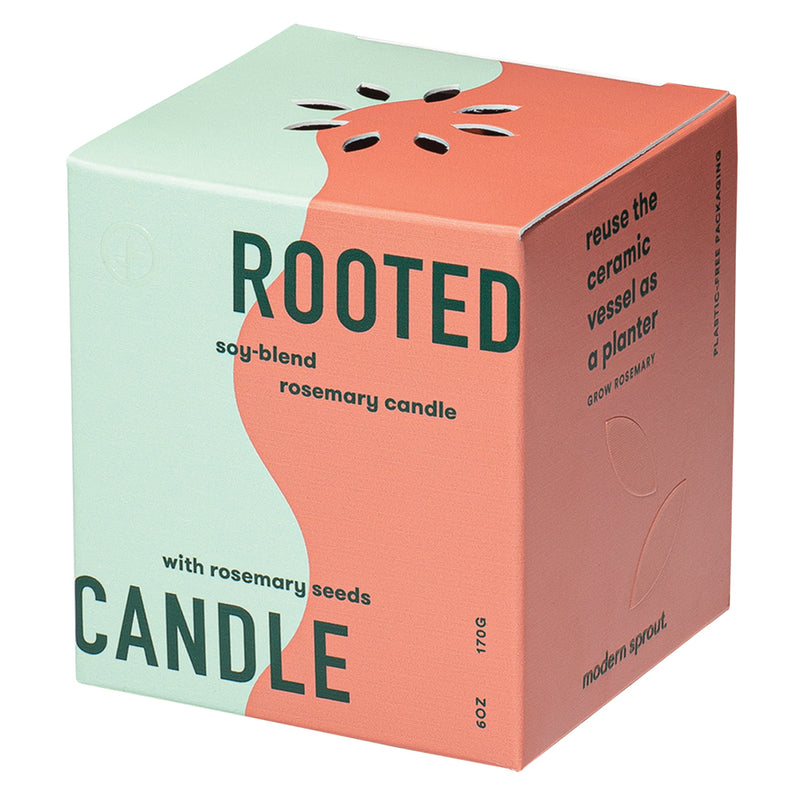 Rooted Candle Planter  