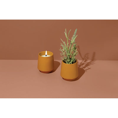 Rooted Candle Planter Rosemary 