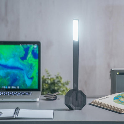 Octagon Portable Desk Lamp  