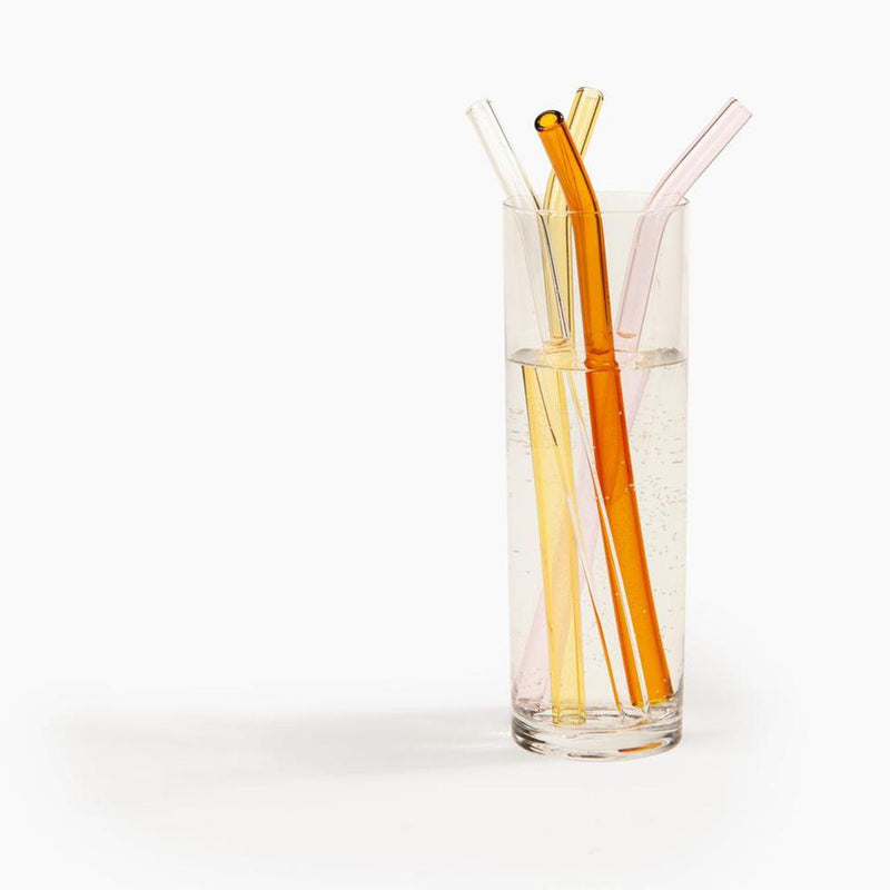 Poketo Glass Straws Set  