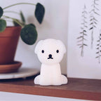 Snuffy Bundle of Light Lamp  